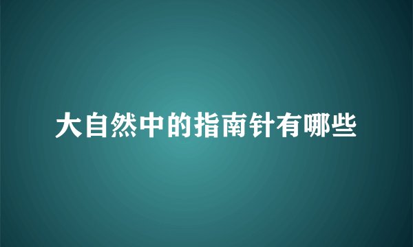 大自然中的指南针有哪些