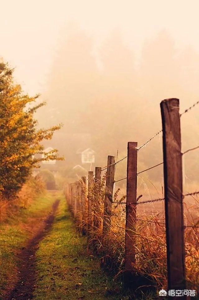 立秋写一首小诗