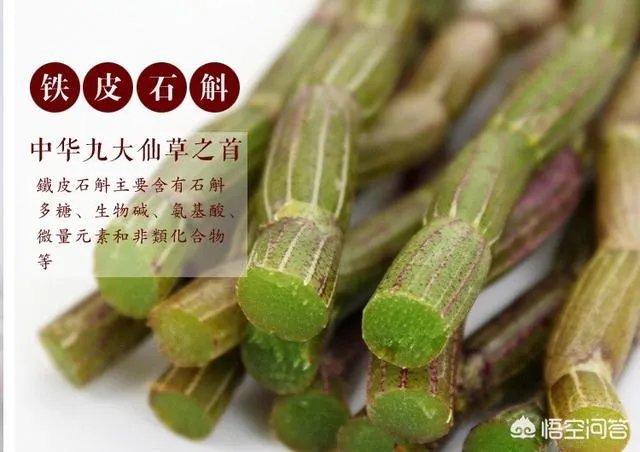 如何让石斛煮水更好喝?