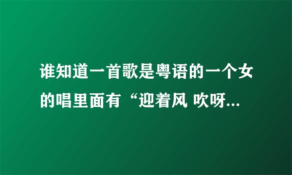 谁知道一首歌是粤语的一个女的唱里面有“迎着风 吹呀吹...”的歌词？