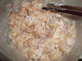 【飞禽走兽】--炸鸡米花