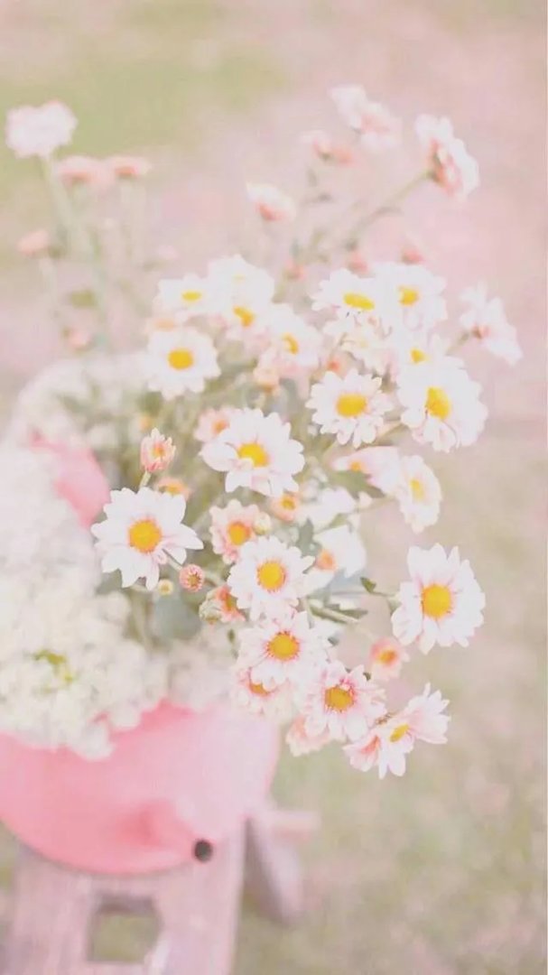 有没有粉色可爱壁纸？