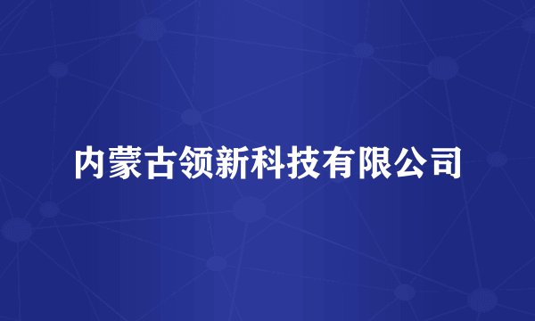 内蒙古领新科技有限公司
