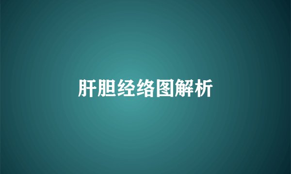 肝胆经络图解析