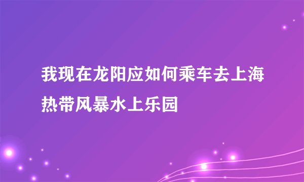 我现在龙阳应如何乘车去上海热带风暴水上乐园