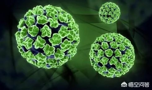 有的病毒会让人变笨，那么有没有病毒会让人变聪明？