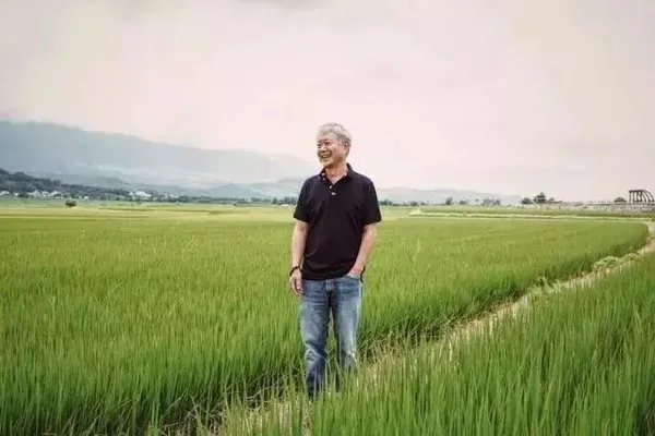 《红楼梦》里的“社交潜规则”,你读懂了多少?