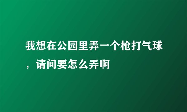 我想在公园里弄一个枪打气球，请问要怎么弄啊
