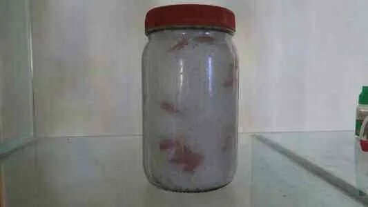 鱼茶的做法，鱼茶怎么做好吃，鱼茶的家常做法