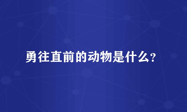 勇往直前的动物是什么？