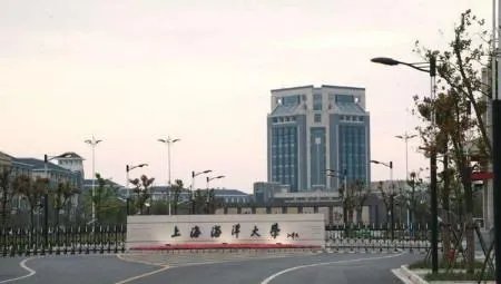 上海海洋大学真有那么坑吗？就没