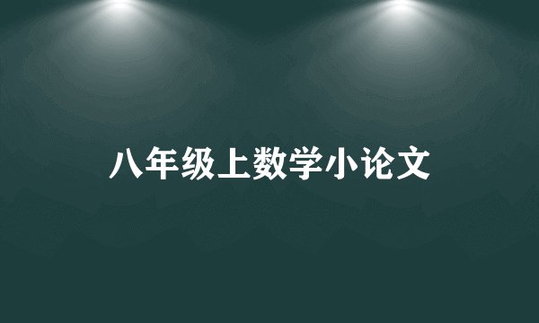 八年级上数学小论文