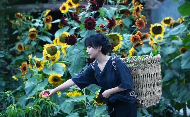 李子柒是不是文化输出引热议,你怎么看?