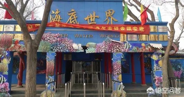 太原迎泽公园的海底世界搬到哪里了？