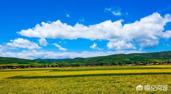 青海门源你去过吗？