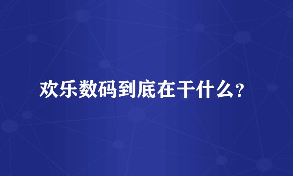 欢乐数码到底在干什么？