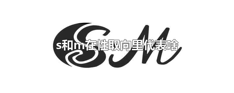 s和m在性取向里代表啥
