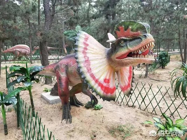 一家三口到威海旅游三天,有哪些景点、住宿和美食值得推荐?