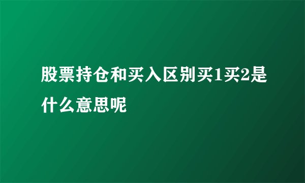 股票持仓和买入区别买1买2是什么意思呢