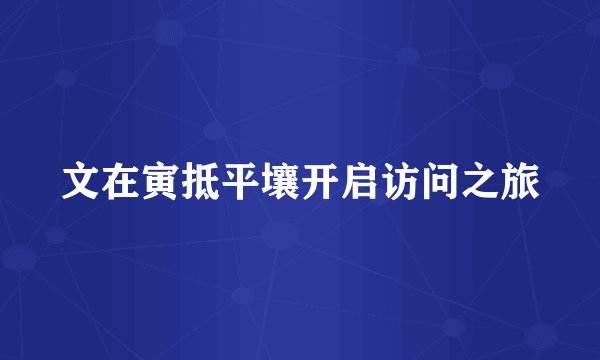 文在寅抵平壤开启访问之旅