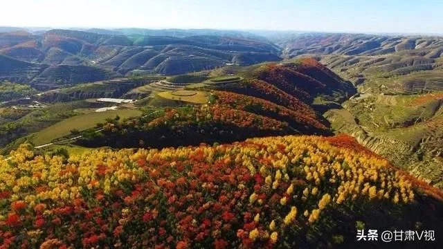 庆阳最大的魅力是什么?