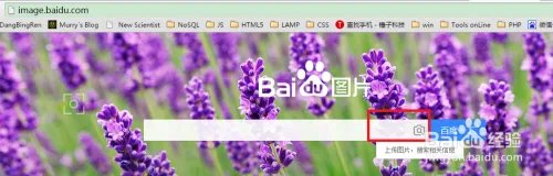 以图搜图，百度识图搜图大全