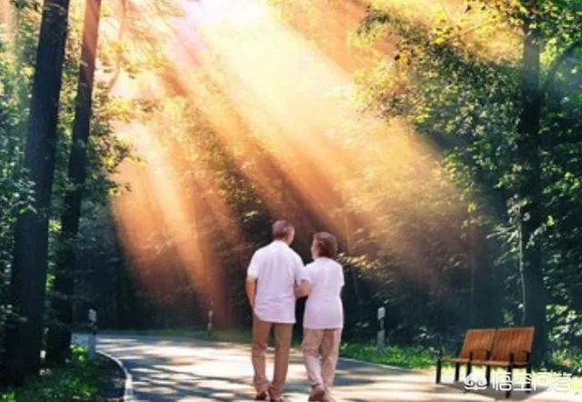 谁有夕阳西下一对年迈的老人在散步的图片？