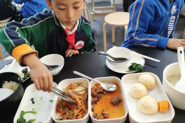 小学生营养午餐食谱大全