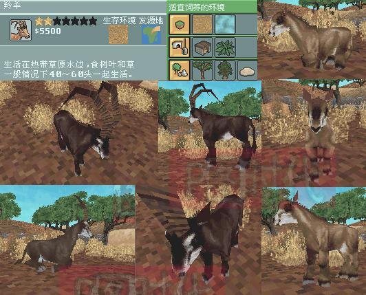 图文攻略 动物园大亨2