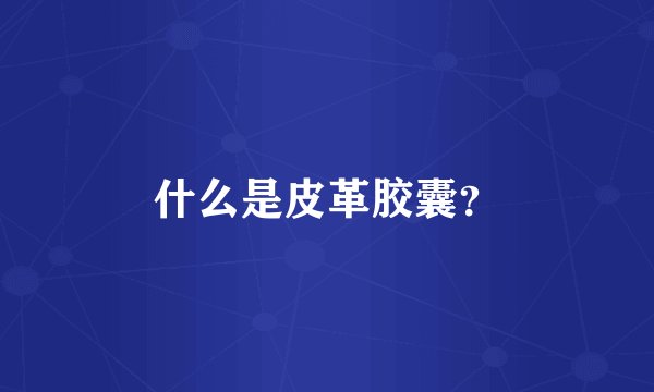 什么是皮革胶囊？