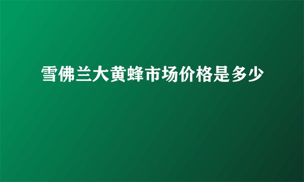 雪佛兰大黄蜂市场价格是多少