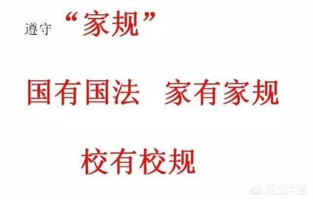 微信请假领导没回，女子旅游5天后归来被开除，你觉得谁对谁错？