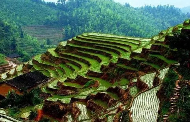 五一去崇义旅游,去玩过的驴友可以说下攻略吗?