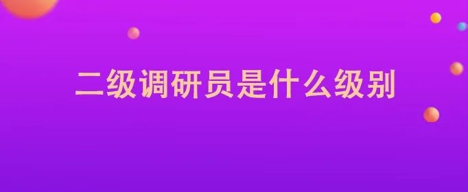 二级调研员是什么级别