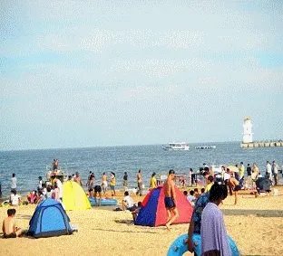 七零八落猜一生肖。七零八落是什么意思