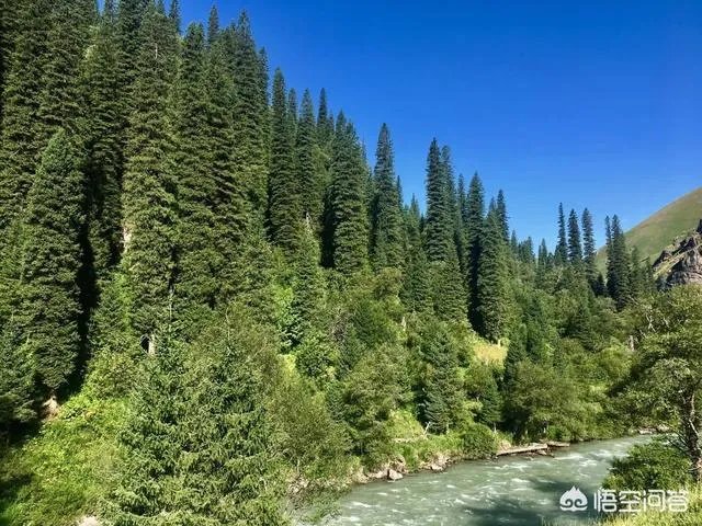 你印象中的大西北还是那个骑骆驼上学的景象吗,现在是什么样子的?