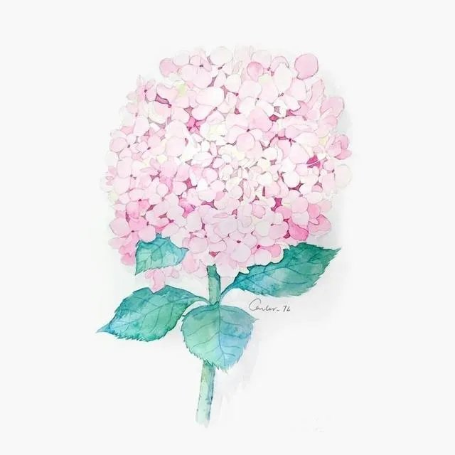 有没有粉色可爱壁纸？