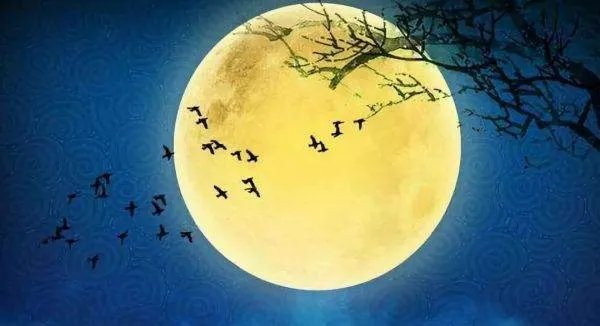 各大卫视为迎中秋国庆安排了哪些节目?