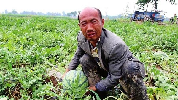 一些农产品滞销的本质是什么?