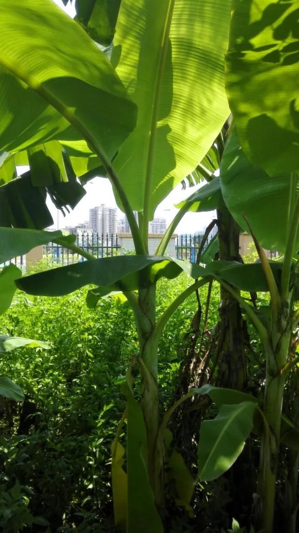 一些农产品滞销的本质是什么?