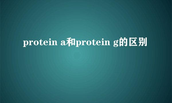 protein a和protein g的区别