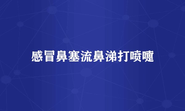 感冒鼻塞流鼻涕打喷嚏