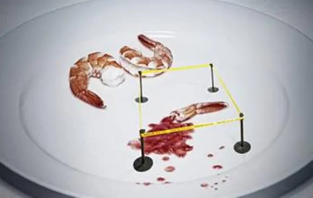 海中钓鱼用什么饵？