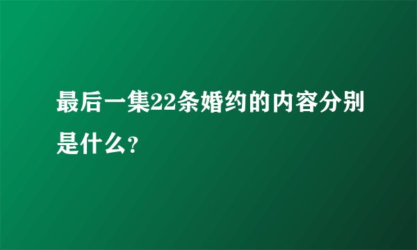最后一集22条婚约的内容分别是什么？