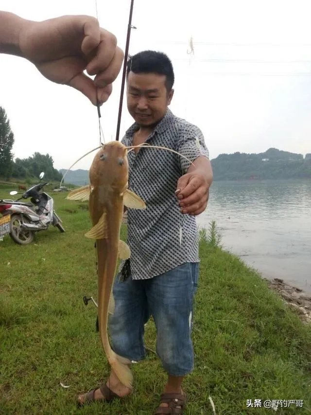 升钟湖钓鱼怎么收费？ - 芝士回答