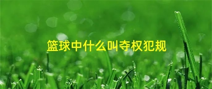 篮球中什么叫夺权犯规