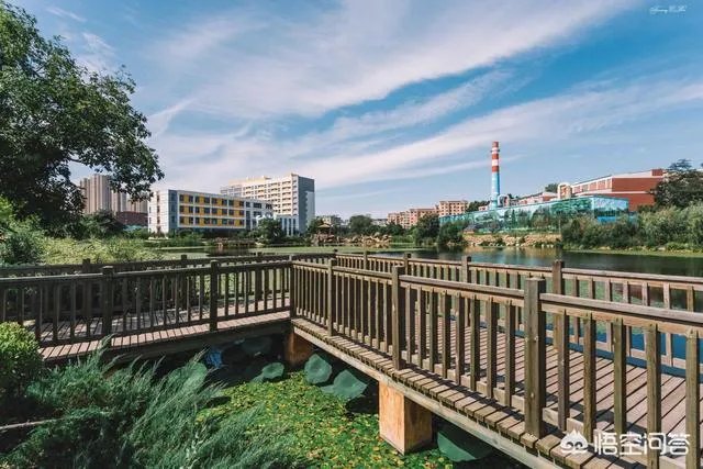 海事大学和东财