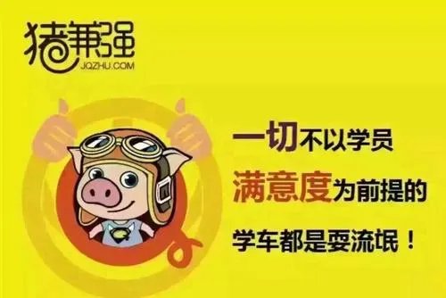 导致知名驾校猪兼强破产的原因是什么？