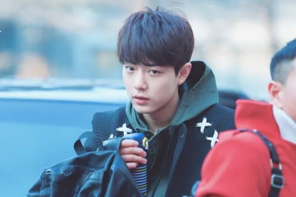 演员夏凡怒骂肖战“你啥也不是”背后原因究竟是什么?