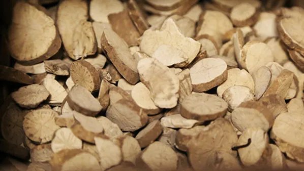 白芍的功效与作用是什么